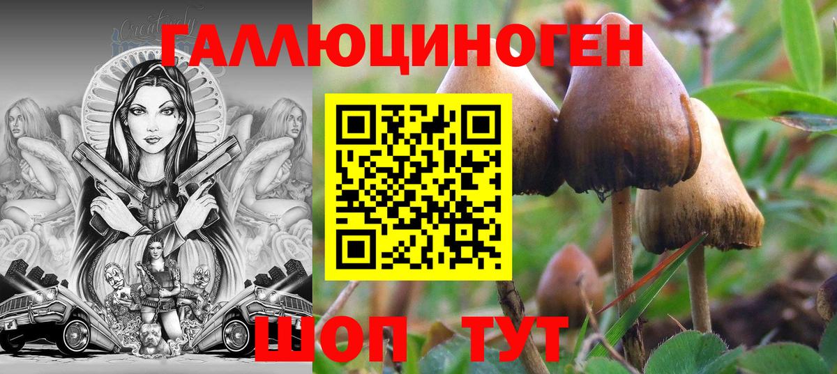 Орёл  Галлюциногенные грибы ЛСД  Вход с VPN  Псилоцибиновые грибы Psilocybine cubensis 