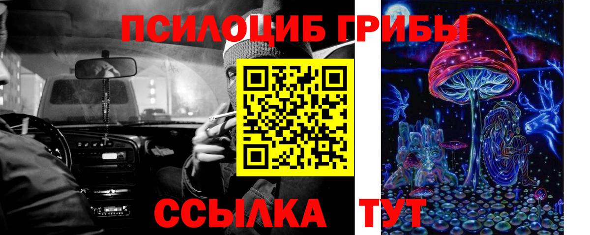 Псилоцибиновые грибы GOLDEN TEACHER Орёл